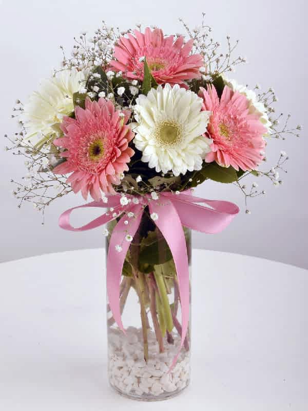 vazoda pembe beyaz cerbera