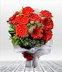 kırmızı gerbera buketi