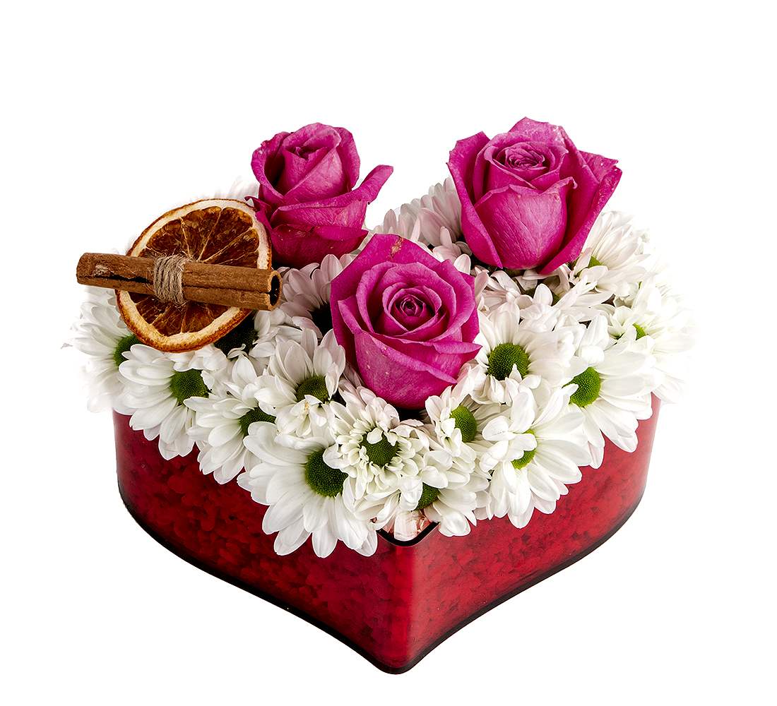 Kalpte Serisi Kalbim Sende Papatya