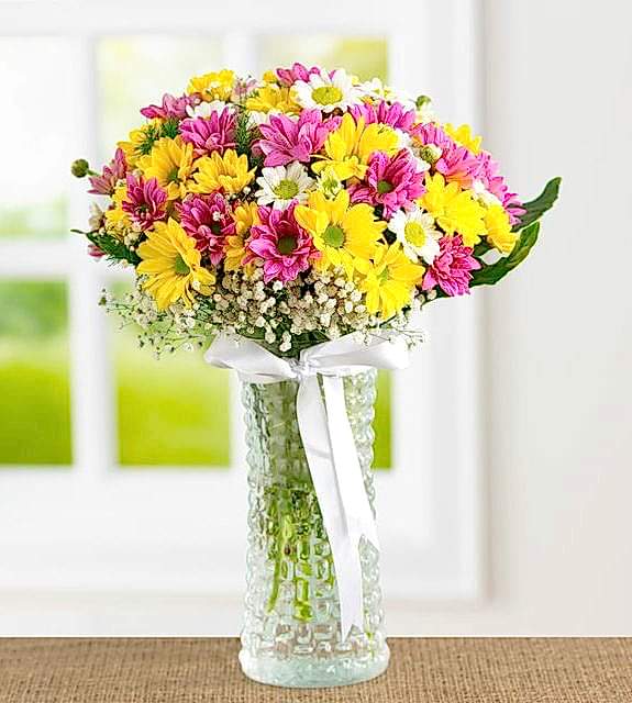 vazoda renkli krizantem