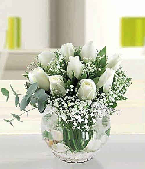 fanusta 9 beyaz gül