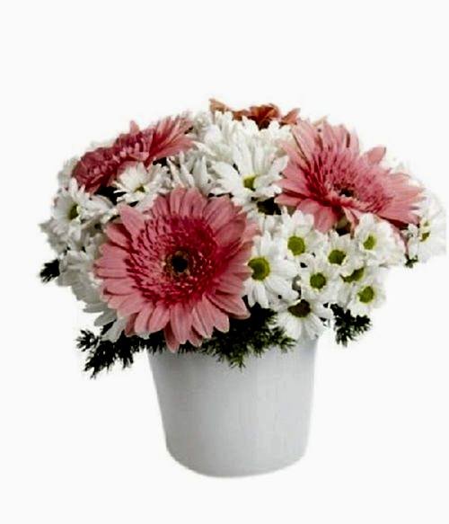 seramikte pembe cerbera ve krizantem