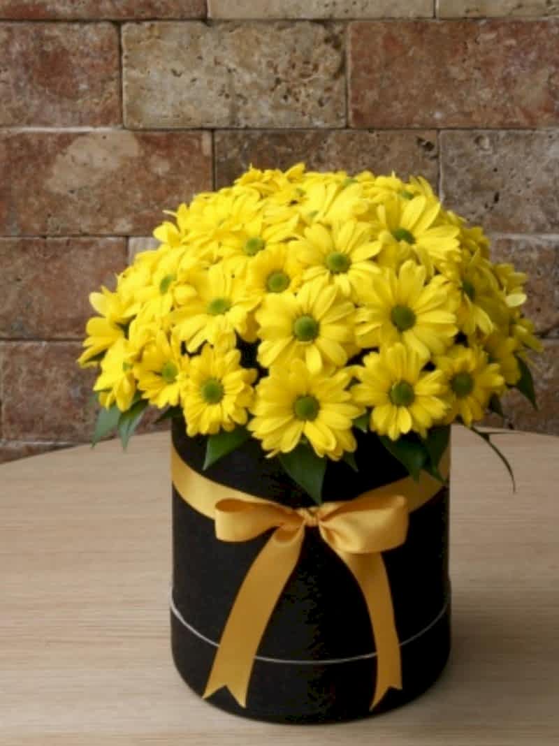 Kutuda Sarı Papatya deneme