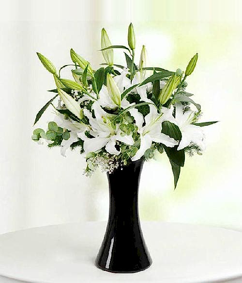 Özel Vazo Kazablanka